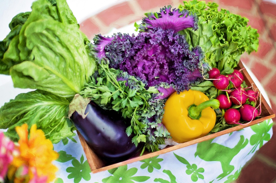 Atelier Nutrition & goûter sain à Plasnes